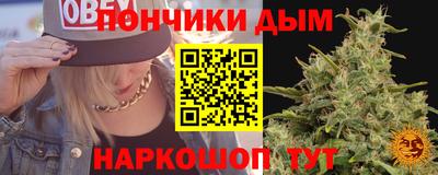 индика Новоалтайск