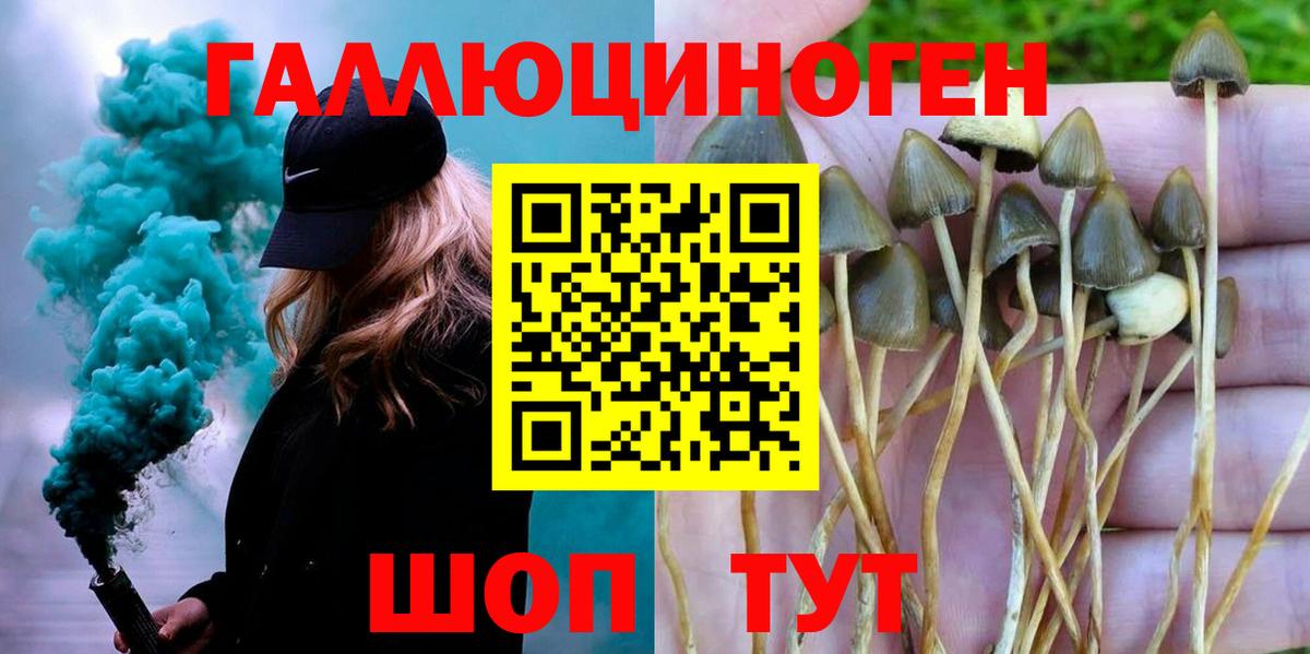 Галлюциногенные грибы мицелий  Вход с VPN  Бузулук  Галлюциногенные грибы Magic Shrooms 