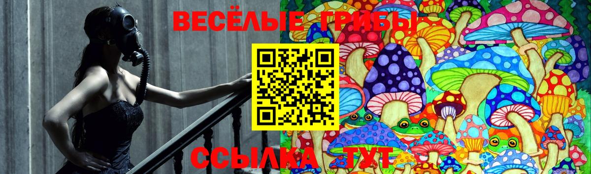 Галлюциногенные грибы Cubensis Бузулук